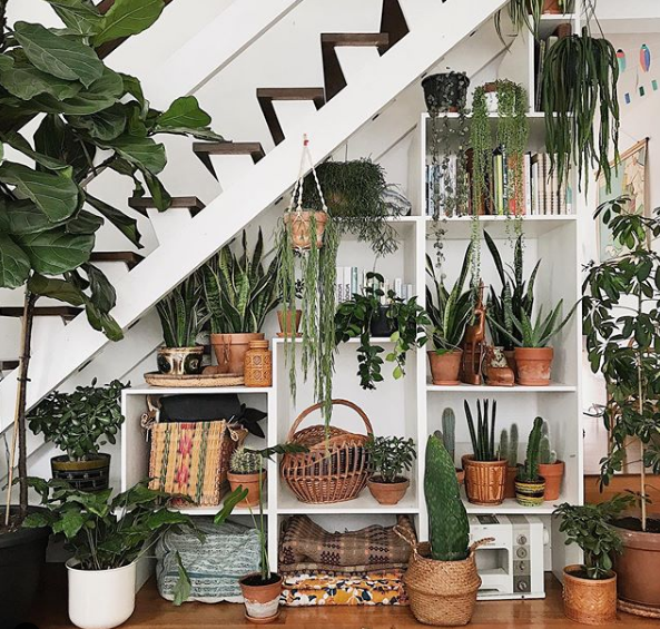 espaço escada para plantas