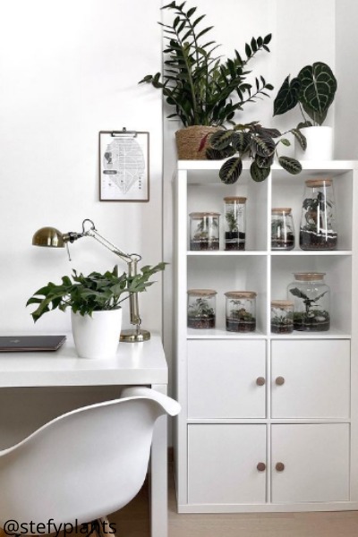 Prateleiras para plantas vaso vidros