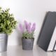 Prateleiras para Plantas