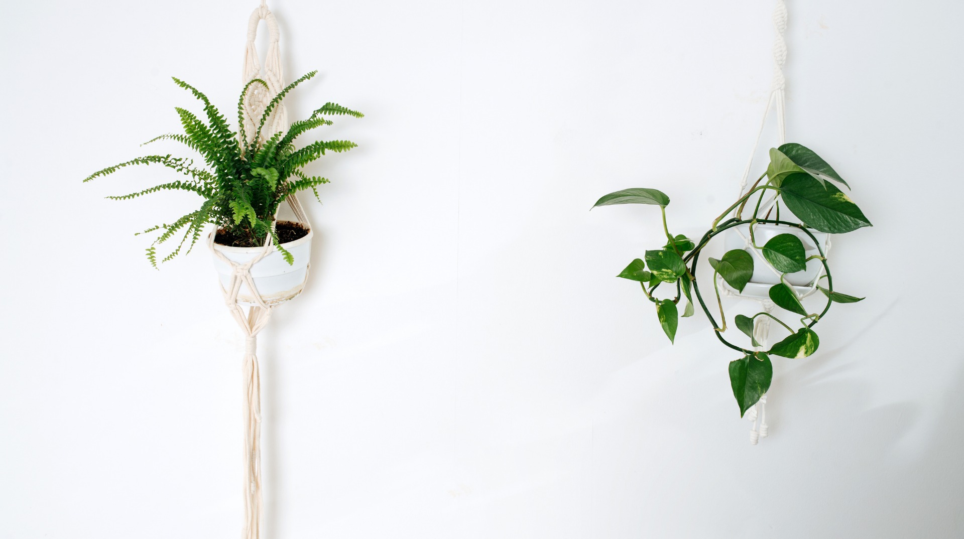 macramê para pendurar vasos de plantas