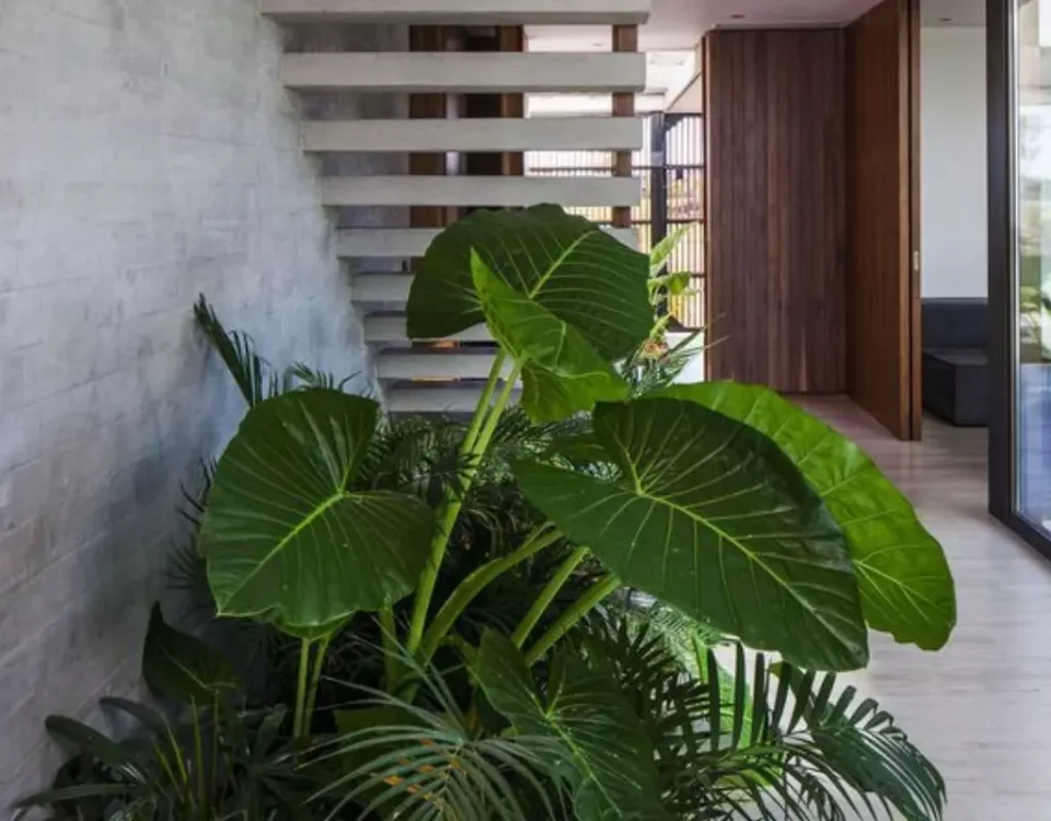 jardim embaixo da escada