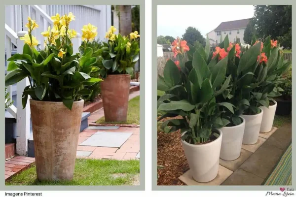vasos com flores em jardins pequenos para frente de casa