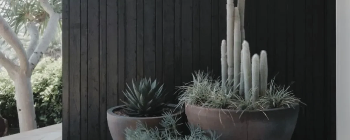 jardim pequeno com pedras e vasos