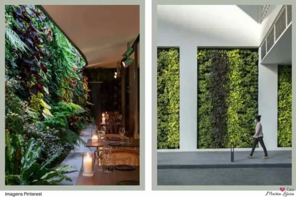 duas imagens com paredes cobertas de plantas verdes de várias espécies